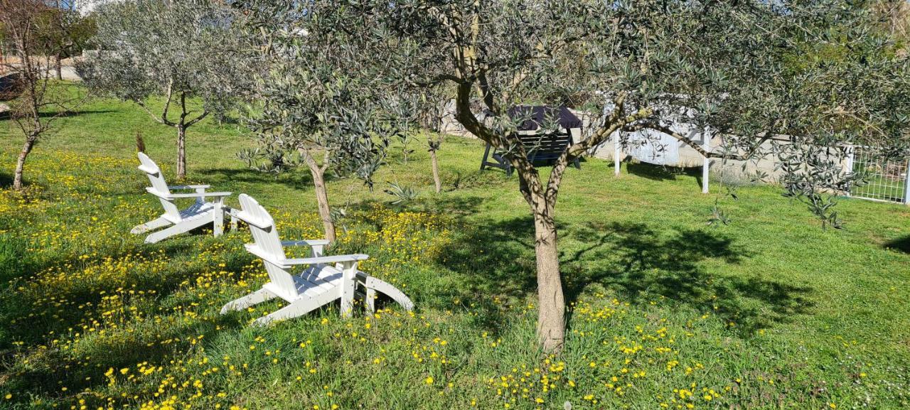 La Pergola Hotel Fažana Eksteriør billede